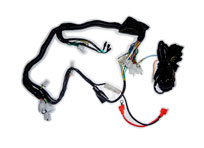 Branch motocar